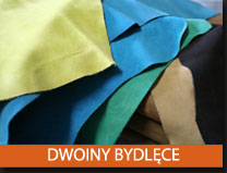 dwoiny bydlece