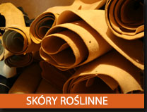 skory roslinne