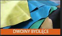 dwoiny bydlece